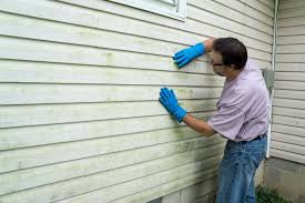 Best Wood Siding Installation  in Paisley, FL